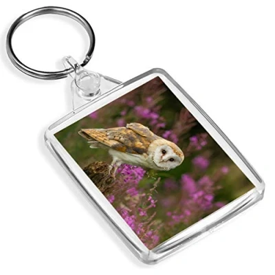 Image of Barn Owl Keyring Bird Prey British Wildlife Flowers #15813