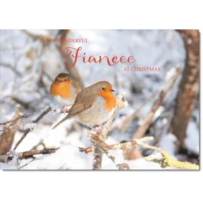 Image of doodlecards Fiancee Christmas Card Two Robins in Tree Medium Size for with Plain Envelope