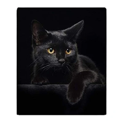 Image of YISUMEI Soft Fleece Blanket Black Cat, 125 x 200 cm Throw Suitable for Sofa or Bed