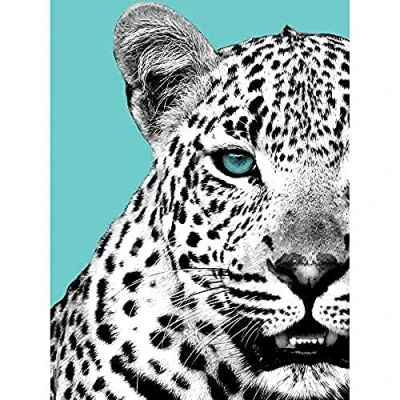Image of Wee Blue Coo Close up Beasties Leopard Unframed Art Print Poster Wall Decor 12x16 inch