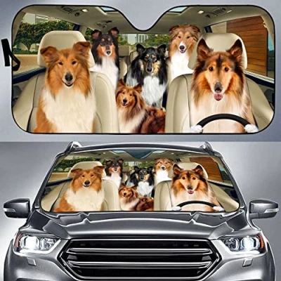 Image of Front Windshield Sun Shade Foldable Windscreen Cover Block Uv Rays Car Sunshades Universal For Summer Suv Rough Collie Team Friends Driving M