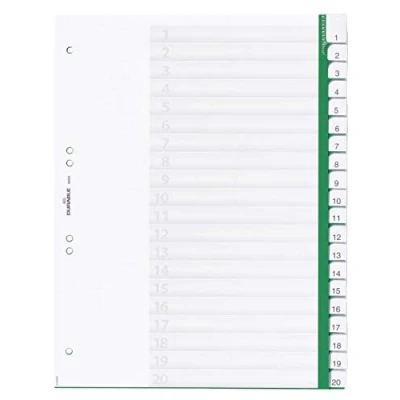 Image of Durable 622305 Blank Index File with Sealed Tabs and 20 Insert Labels for A4 Sheets Green