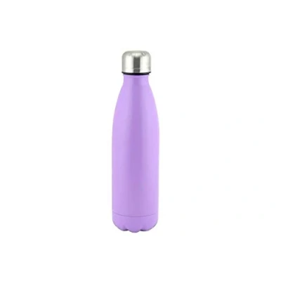 Image of APOLLO SS Flask 500mL Violet NL