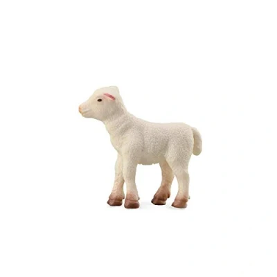 Image of CollectA Lamb