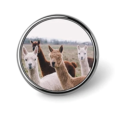 Image of Alpaca Lapel Pin Round Badge Metal Brooch Art Decoration Jewelry Gift