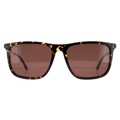 Image of Lacoste Square Mens Havana Brown L945S One Size