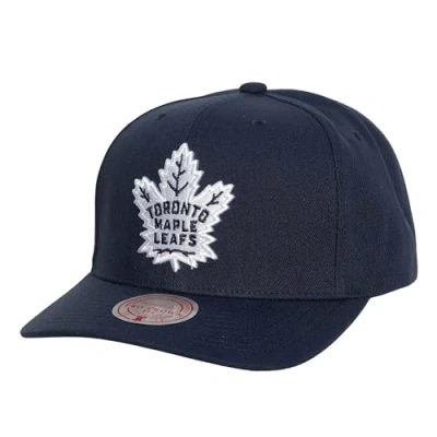 Image of Mitchell &amp; Ness Toronto Maple Leafs Blue NHL Team Ground 2.0 Pro Snapback Cap