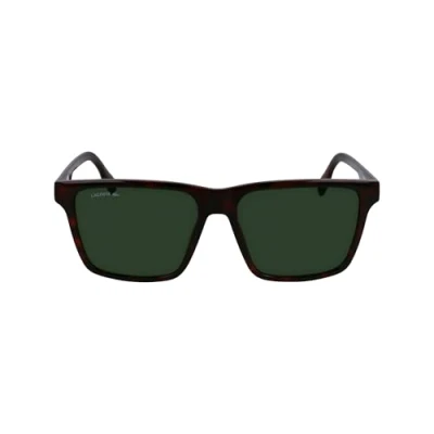 Image of Sunglasses Lacoste L6039s col. 214 Uomo Squadrata Havana