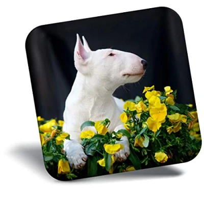 Image of Destination Vinyl ltd Fridge Magnet English Bull Terrier Puppy Dog 21500