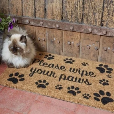 Image of GadgetZone Large Novelty Printed Wipe your Paws Welcome Mat Natural Coir Absorbent Entrance Doormat Vinyl Backed &amp; Anti Slip Rubber Floor (wipe paws)