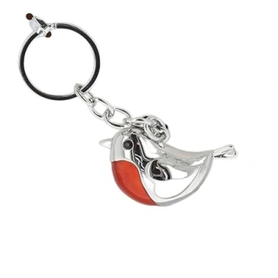 Image of Equilibrium Robins Appear Keyring 334745