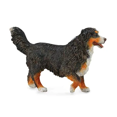 Image of CollectA Bernese Mountain Dog