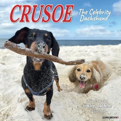 Image of Crusoe The Dachshund Calendar 2026