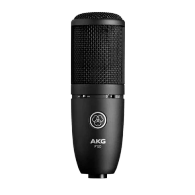 Image of AKG P120 High Performance General Purpose Recording Microphone, Studio Quality, Large Diaphragm, Highly Versatile, Rugged and Robust Design Black