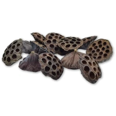 Image of celloexpress Large Dried Lotus Head Christmas Wreaths, Garlands, Festive Decorations, Floral Arrangements (Pack of 10)