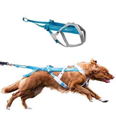 Image of Non stop dogwear Freemotion Harness 5.0 Dog Pulling for Sports like Running, Biking and Skiing with Dogs, Professional Adjustable Harness, Blue/Gray, Size 5