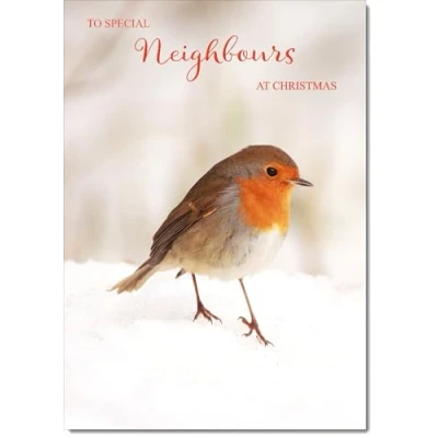 Image of doodlecards Neighbours Christmas Card Robin in Snow Medium Size with Plain Envelope