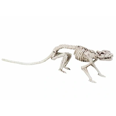 Image of Boland 72155 BOL72155 Skeleton Rat Decoration, White, 35 Cm