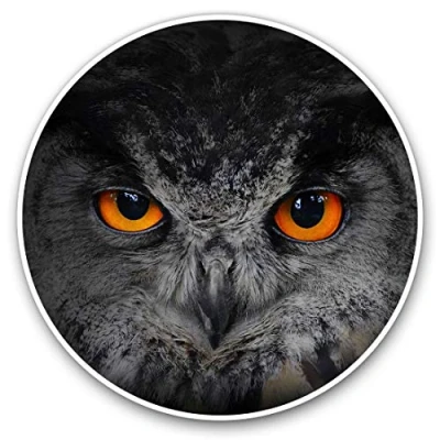 Image of 2 x Heart Stickers 10 cm Owl Eyes Bird Owls Fun Decals for Laptops,Tablets,Luggage,Scrap Booking,Fridges #8252