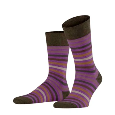 Image of Mens 1 Pair Falke Tinted Stripe Wool Socks Purple 5.5 8
