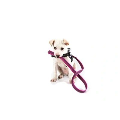 Image of Color &amp; Gray Super Grip Leash with Handle, 20 mm x 1 m, Pink