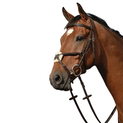 Image of Collegiate Syntovia+ Padded Raised Figure 8 Bridle, Brown, Cob