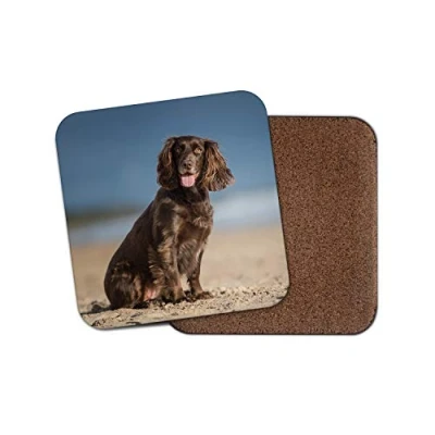 Image of 1 x Cocker Spaniel Coaster Puppy Gun Dog Beach Working Cute Pet Kids #12508