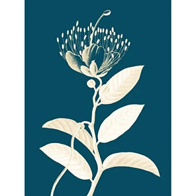 Image of Wee Blue Coo Modern Bold Biodiversity Plant Unframed Wall Art Print Poster Home Decor Premium