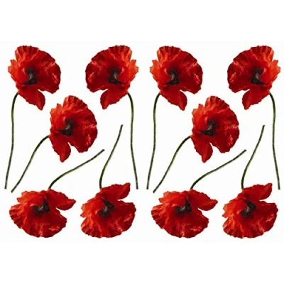 Image of Adhesive Decoration Poppy, Polyvinyl, Red, 21 X 0.1 29.6 cm
