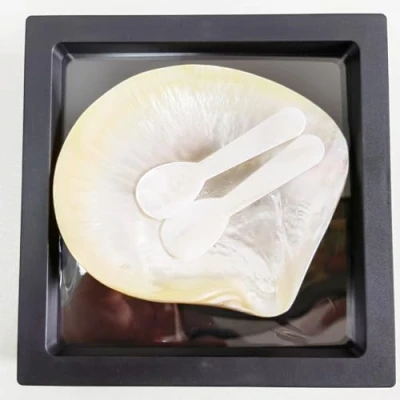 Image of Caviar Serving Set Spoons Mother of Pearl Spoon with Gift Box Packaging Eggs and Dessert