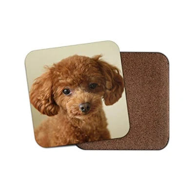 Image of 1 x Cute Poodle Puppy Coaster Ginger Puppies Dog Adorable Pet Mum Gran #15368