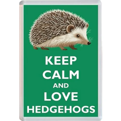 Image of Keep Calm and Love Hedgehogs Jumbo Fridge Magnet 96 x 67mm