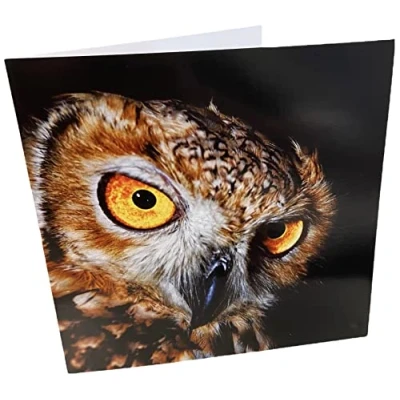 Image of Maturi Owl Photographic Blank Birthday Greetings Card, 15.5 x cm
