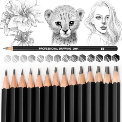 Image of Blendura 14 Professional Drawing Pencils Sketching Set 12B, 10B, 8B, 7B, 6B, 5B, 4B, 3B, 2B, B, HB, 2H, 4H, 6H, Black, unità (Confezione da 1),