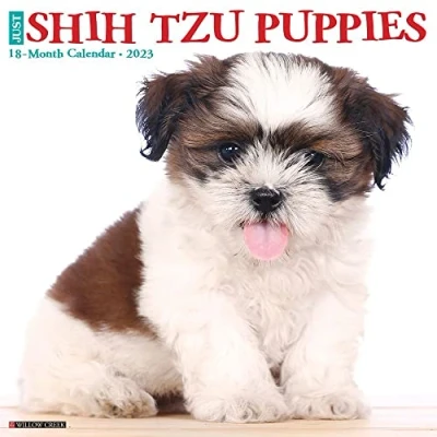 Image of Just Shih Tzu Puppies 2023 Wall Calendar