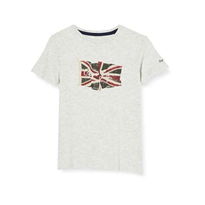 Image of Pepe Jeans Men&#039;s Flag Logo S/S T Shirt, 913light Grey Marl, 14 Years