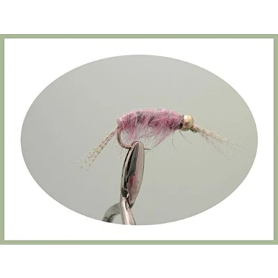 Image of 6 Pack of Goldhead Disco Shrimp Nymph Trout Grayling Fishing Flies, Choice Sizes (10)
