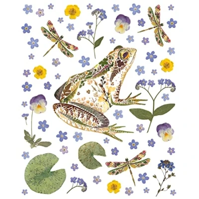 Image of Wild Press Garden Frog Blank Greeting Card with Envelope