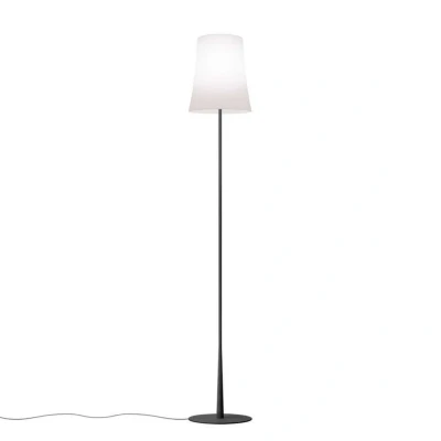 Image of Foscarini Birdie Easy Reading Floor Lamp Black