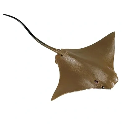 Image of Safari Cownose Ray, Multicolor, Small