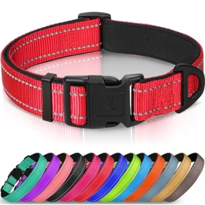 Image of Joytale Dog Collar, Reflective Padded Neoprene Pet Adjustable Nylon Collars for Medium Dogs, M, Red
