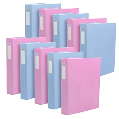 Image of Pukka Pad, Pastel A4 Ringbinder Files with D Ring Mechanism 10 Pack 40mm Spine Customisable Label for Large Amounts of Documents 32 x 26.3mm, Pink and Blue