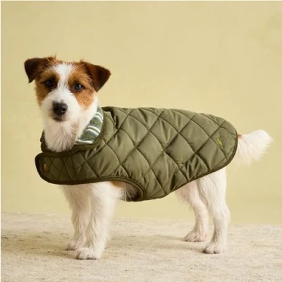 Image of Rosewood Joules Khaki Quilted Coat for Dogs, Small, Washable, Lightweight, Warm Winter Dog Coat/Jacket Small Dogs