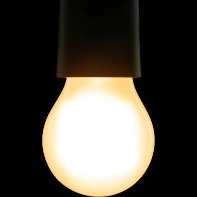 Image of SEGULA Bright LED bulb High Power E27 7.5 W matt
