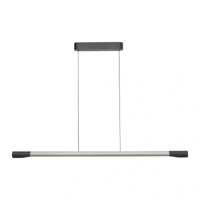 Image of Paul Neuhaus LED hanging light Hoop, aluminium coloured, 128 cm, dimmable