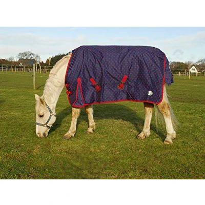 Image of Rhinegold Dottie Torrent Outdoor Rug Lightweight No Fill