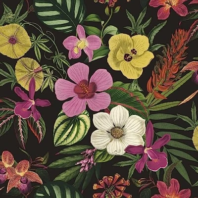 Image of SOPHIE LAURENCE Black Floral Orchid Wallpaper Pink Green Yellow Exotic Tropical Palm Leaves Stylish, Washable, Strippable Paste The Paper Feature