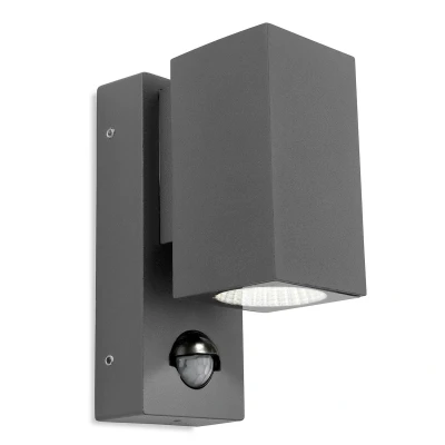 Image of Dino LED 1 Light Single Outdoor Wall Light, PIR Graphite IP44