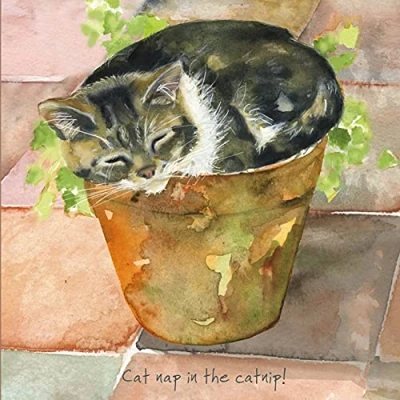 Image of Cat Nip Little Dog Laughed Greeting Card Blank Inside Any Occasion SQD153