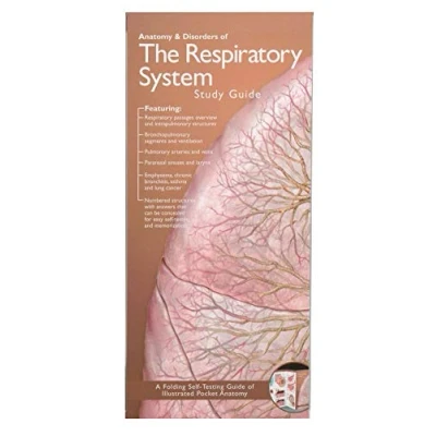 Image of Anatomical Chart Company&#039;s Illustrated Pocket Anatomy: Anatomy &amp; Disorders of the Respiratory System Study Guide